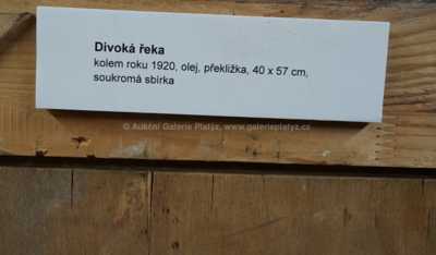 / Divoká řeka / Jaroslav Panuška