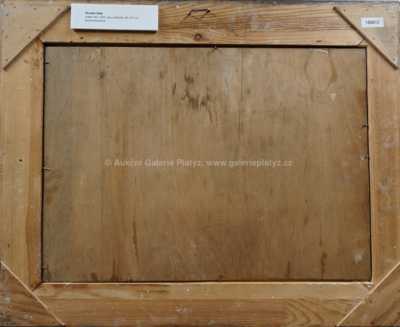  / Divoká řeka / Jaroslav Panuška