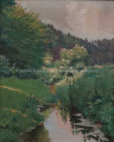  / Tůň na potoce / Oldřich Hlavsa