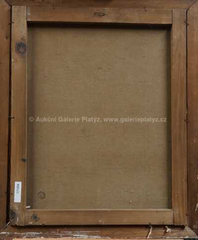  / Tůň na potoce / Oldřich Hlavsa