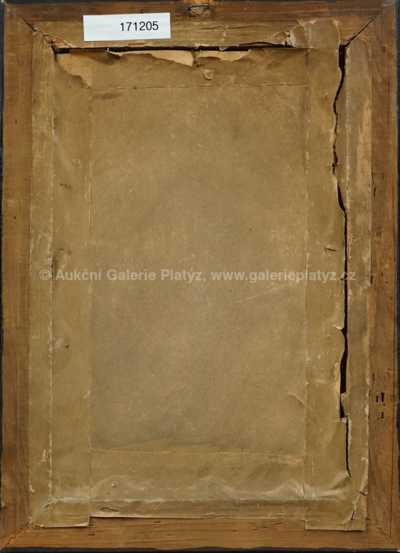  / Portrét / František Antonín Jelínek