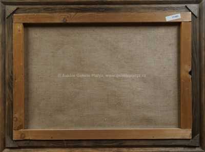  / Krajina / Karel Langer