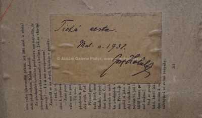  / Tichá cesta /  Josef Holub