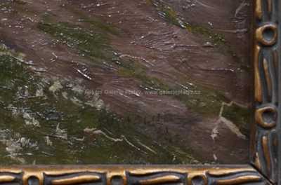  / Tichá cesta /  Josef Holub