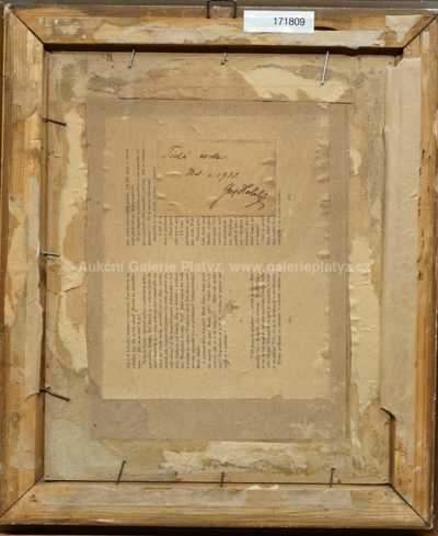  / Tichá cesta /  Josef Holub