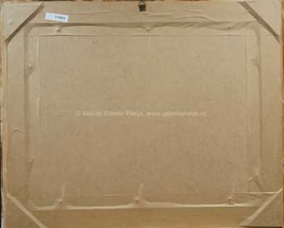  / Bruslení pod Karlovým mostem / František Tavík Šimon