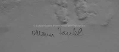  / Strážkyně pokladu / Olbram Zoubek