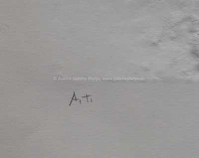  / Strážkyně pokladu / Olbram Zoubek