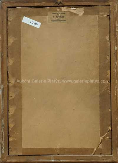  / Pohled na Prahu / Jan Šafařík