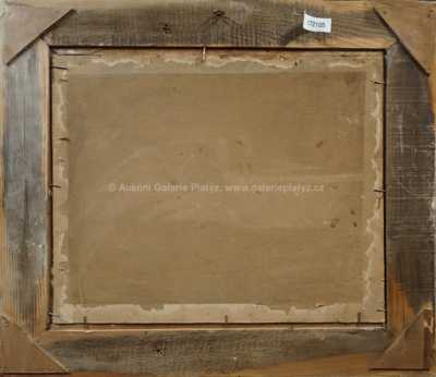  / Indián s koněm /   Neznačeno