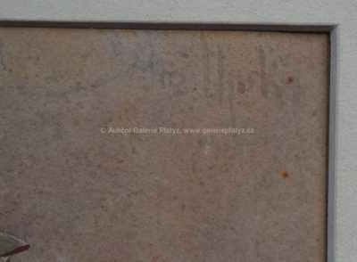  / Děvče z Javorníka / Joža Uprka