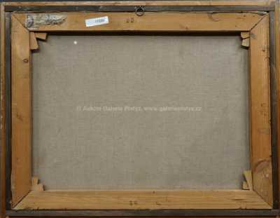  / Pod Troskami / Karel Jan Sigmund