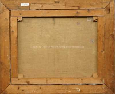  / Zátiší s kaktusy / Julie Mezerová-Winterová