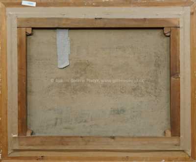  / Pohled z Petřína / Jaroslav Šetelík