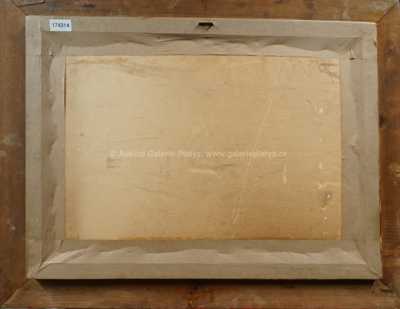  / V krojích / Wincenty Wodzinowski