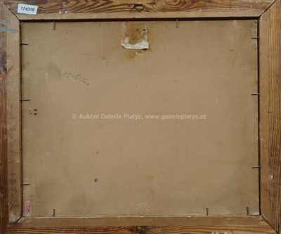  / Motiv z Rakouska /   Autor neurčen