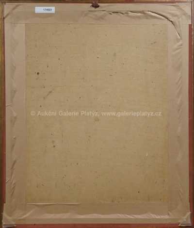  / Muž na procházce / Čeněk Choděra