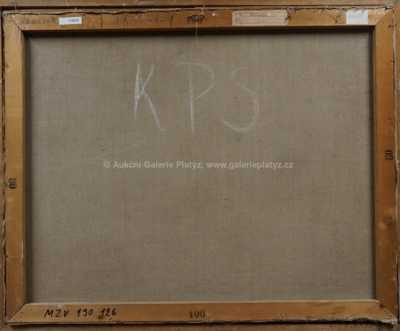  / Minice / Václav Haise