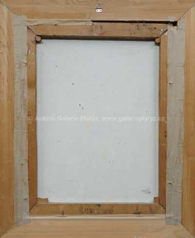  / Dívčí akt / Vladimír Suchý