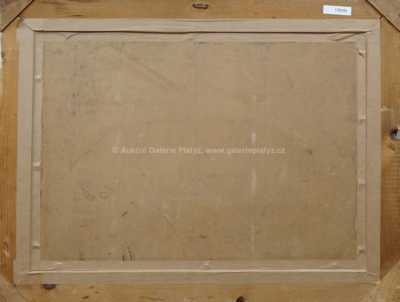  / Vrby u labské tůně / Václav Radimský