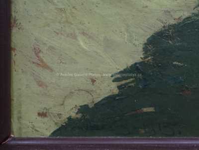  / Nad údolím / Josef Písecký (Liška)