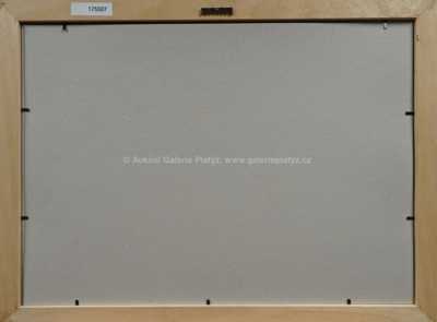  / První hrobaři / Zdeněk Burian