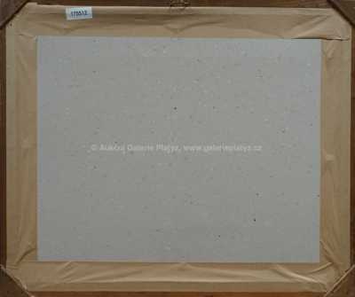  / Na lovu / Vojtěch  Sedláček