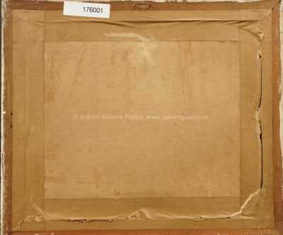  / Hudebník / Ota Janeček