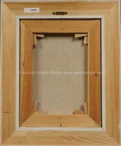  / Vojta se psem Golemem / František Ringo Čech