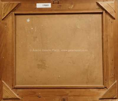  / Tůň s rákosím / Karel Jan Sigmund