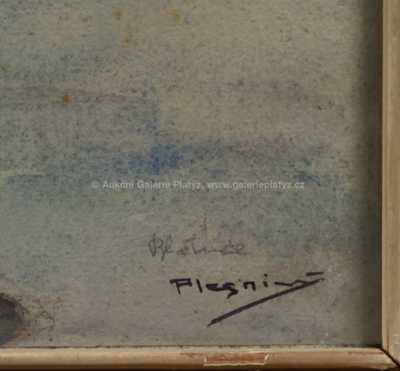  / Šohaj / Vincent Plesnivý