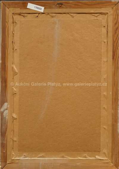  / Šohaj / Vincent Plesnivý