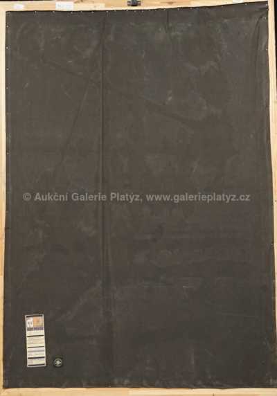  / Krajina se žlutým mrakem / Ota Janeček