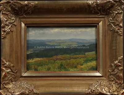 Josef Jambor - Rozkvetlá louka