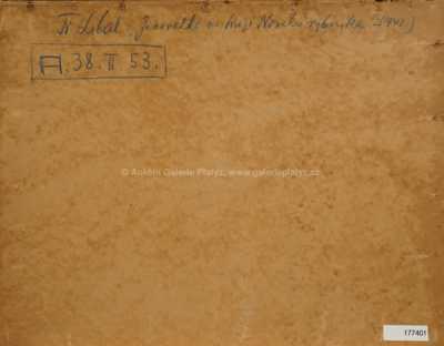  / Jinovatka na hrázi Nového rybníka / František Líbal