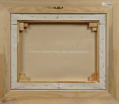  / Syn z druhého manželství / František Ringo Čech