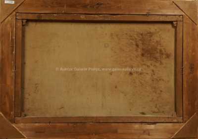  / Alpská krajina /   Neznačeno