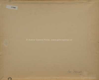  / Z Dalmácie / Jan Slavíček