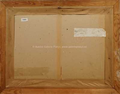  / V polích / Vojtěch  Sedláček