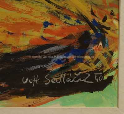  / V polích / Vojtěch  Sedláček