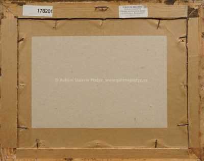  / Borovice / Jan Köppl